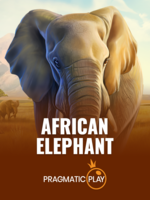 African Elephant Slot: RTP Tinggi dan Volatilitas Rendah — ikon game